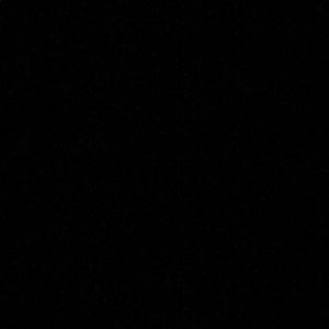 Meet your Posher, Shawnta